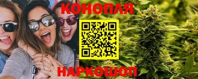 сатива Наро-Фоминск