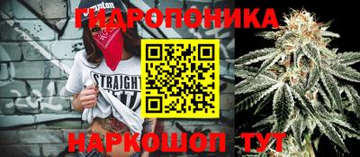 сатива Наро-Фоминск